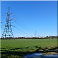 Pylons near West Sevington Farm in SN14 7LG