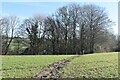 Bridleway across field towards Hilton in DT2 7PX