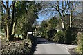 Lane at Hilton, opposite the entrance to Manor Farm in DT11 0DF