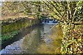 Weir on the River Bulbourne in HP4 2NL