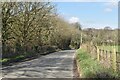 Road into Milton Abbas at Hoggen Down in DT11 0BD