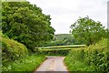 Holford : Country Lane in TA5 1SE