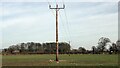 33kV Power Poles near Tattenhall FP2 in CH3 9QR