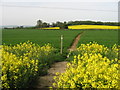 The Stour Valley Walk, looking in the direction of Wye in TN24 0NG