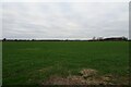 Farmland and view towards the railway from Northfield Lane in LS24 9WT