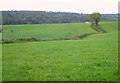 Farmland, Berber Hill in EX6 7XQ