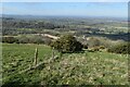 View over Chitcombe Down in DT11 0EW