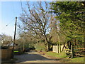 Frogham Hill, Frogham, near Fordingbridge in SP6 2QE