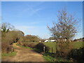 Farm access track, near Alderholt in SP6 3DA