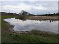 High water in the pond in SY5 8NH
