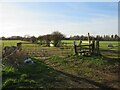 Footpath into a field, near Alderholt in SP6 3DA