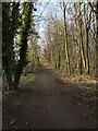 Path on course of old railway line in DH7 8ER