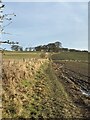 Footpath beside fields above Brandon in DH7 8TT