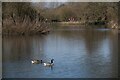 Royal Wootton Bassett : Jubilee Lake Nature Reserve in SN4 7AP