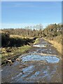 Farm track & bridleway near Windlestone in Windlestone