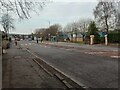 Zebra Crossing: Burnbank Road in Hamilton