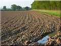 Farmland, Shurlock Row in RG10 0RN