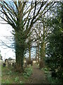 Churchyard path, Throapham in S25 2QX