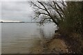 Grafham Water shoreline in PE28 0BU