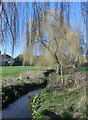 Willow Tree, Goresbrook Park in RM9 6HS
