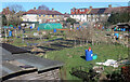 Hedgemans Road Allotments in RM9 6HS