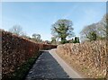 Winter hedges, Pednor Bottom in HP5 2SZ