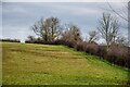 Broadway : Grassy Field in TA19 9LW