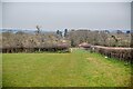 Broadway : Grassy Field in TA19 9LP