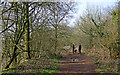 South Staffordshire Railway Walk near Himley in DY3 4LP