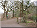 Path into West Moors Plantation in BH22 0HA