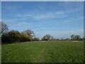 Footpath line across a field in Hanmer Community