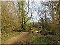 Castleman Trailway near Ferndown in BH21 7QD