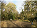 Path junction in Ferndown Forest in BH21 7QD