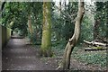 Footpath between gardens and woodland at Colehill in BH21 7AP