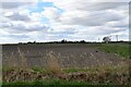 Nordelph: Ploughed field in PE38 0BW