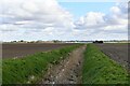 Nordelph: Drainage channel between two fields in PE38 0BU