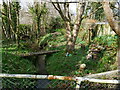 A small wooded glade, with a stream going under the main road in TR16 4JB