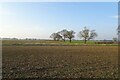 Field near Lime Field Farm in YO19 5ND