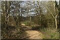 Path leading into Bytheway Field in BH21 2JL