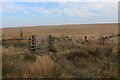 Gate on the Saddle between Freeholds Top and Weather Hill in OL12 8BS