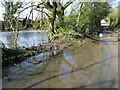 Overflowing pond by the road in TF9 3PW
