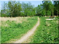 Path accessing the country park in ST7 8AB