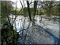 Overflowing pond at Longford in TF9 3PW