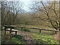 Bench by the pond, Aversley Wood, Sawtry in PE28 5WT