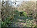Steps to the bench by the pond, Aversley Wood, Sawtry in PE28 5WT