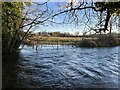 The River Arle in flood in SO24 9EX