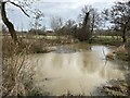 Pond at Bere Marsh Farm in DT11 8DZ