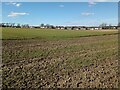 Looking across large field to Cockburn Crescent in EH14 7HE