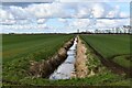 Kenny Hill, Farthing Drove: Drainage ditch in IP28 8EG
