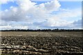 Kenny Hill, Kennyhill Drove: Ploughed field in IP28 8DU